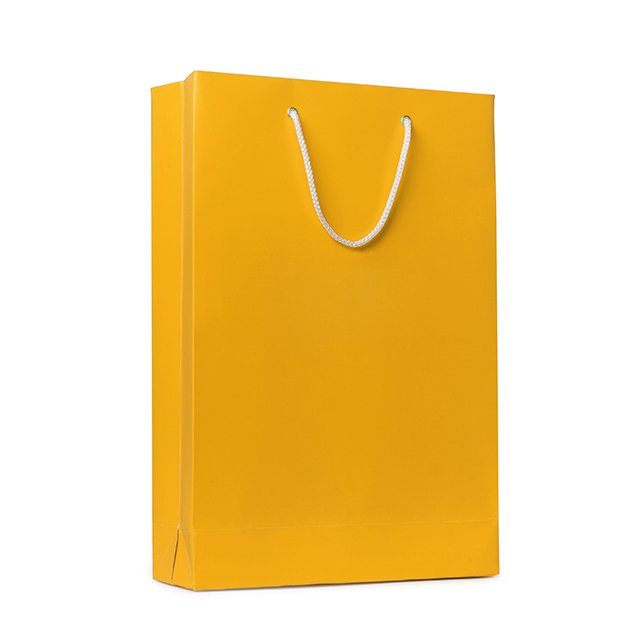 Gift Bag Gold