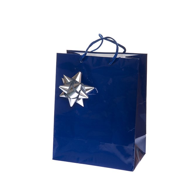 Gift Bag Blue